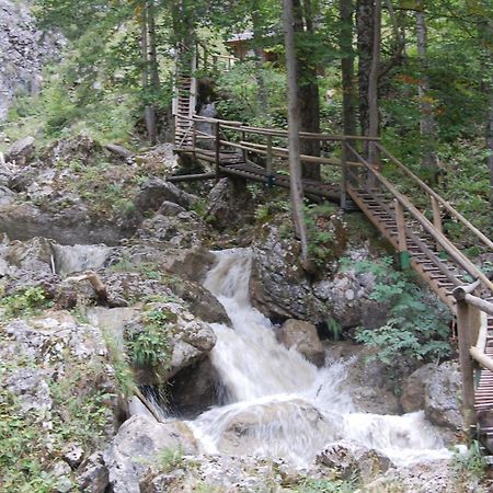 Apartments Am Kirchkogel "Laendliche Entspannung Im Herzen Der Steiermark" Pernegg an der Mur 외부 사진