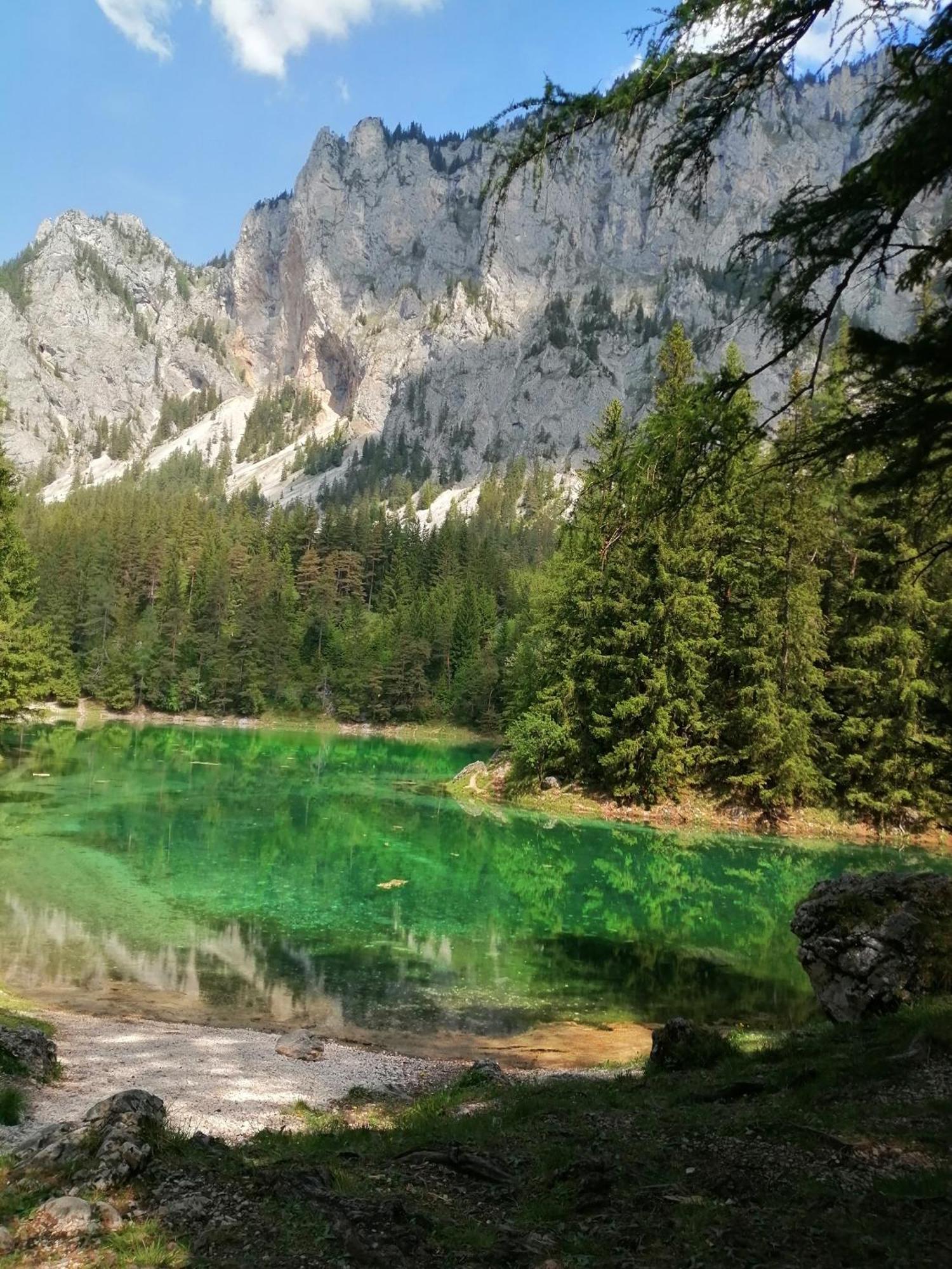 Apartments Am Kirchkogel "Laendliche Entspannung Im Herzen Der Steiermark" Pernegg an der Mur 객실 사진